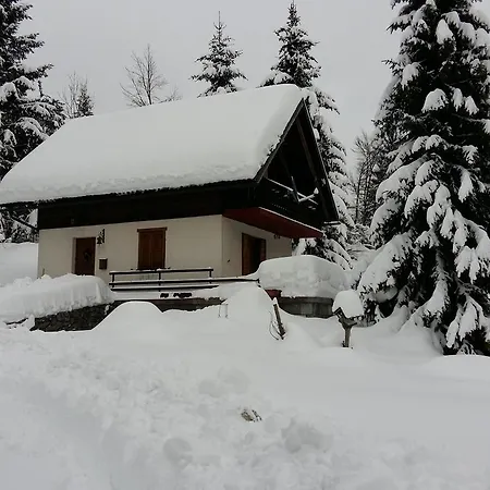Holiday House Tollazzi Tatil Evi