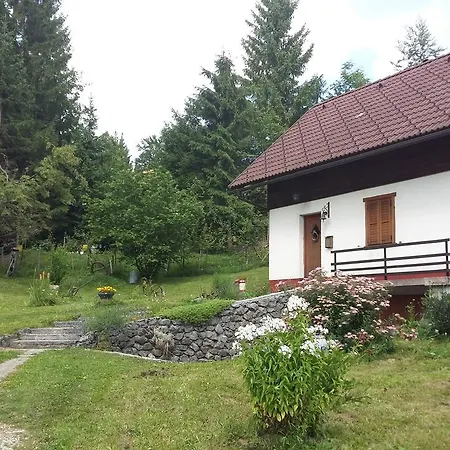Tatil Evi Holiday House Tollazzi