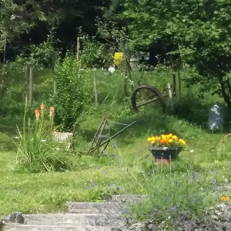 Tatil Evi Holiday House Tollazzi