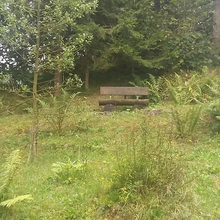 Tatil Evi Holiday House Tollazzi Črni Vrh